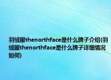 羽绒服thenorthface是什么牌子介绍(羽绒服thenorthface是什么牌子详细情况如何)