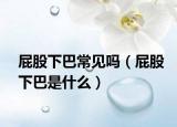 屁股下巴常见吗（屁股下巴是什么）