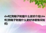 dnf红狗鞋子附魔什么更好介绍(dnf红狗鞋子附魔什么更好详细情况如何)