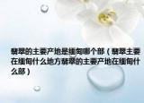 翡翠的主要产地是缅甸哪个部（翡翠主要在缅甸什么地方翡翠的主要产地在缅甸什么部）