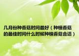 几月份种香菇时间最好（种植香菇的最佳时间什么时候种植香菇合适）
