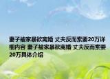 妻子被家暴欲离婚 丈夫反而索要20万详细内容 妻子被家暴欲离婚 丈夫反而索要20万具体介绍