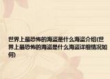 世界上最恐怖的海盗是什么海盗介绍(世界上最恐怖的海盗是什么海盗详细情况如何)