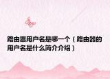 路由器用户名是哪一个（路由器的用户名是什么简介介绍）