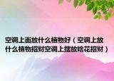 空调上面放什么植物好（空调上放什么植物招财空调上摆放啥花招财）