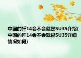 中国的歼14会不会就是SU35介绍(中国的歼14会不会就是SU35详细情况如何)