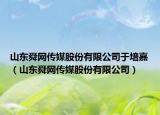 山东舜网传媒股份有限公司于培嘉（山东舜网传媒股份有限公司）