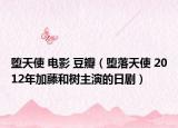 堕天使 电影 豆瓣（堕落天使 2012年加藤和树主演的日剧）