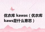 优衣库 kawas（优衣库kaws是什么意思）