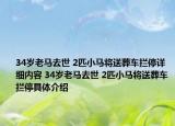34岁老马去世 2匹小马将送葬车拦停详细内容 34岁老马去世 2匹小马将送葬车拦停具体介绍