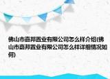 佛山市嘉邦置业有限公司怎么样介绍(佛山市嘉邦置业有限公司怎么样详细情况如何)