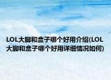 LOL大脚和盒子哪个好用介绍(LOL大脚和盒子哪个好用详细情况如何)