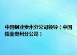 中国铝业贵州分公司领导（中国铝业贵州分公司）