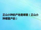 正山小种的产地是哪里（正山小种哪里产的）