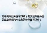 冬季汽车放外面可以嘛（冬天放车在外面的注意事项汽车在冬天停外面可以吗）
