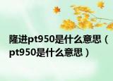 隆进pt950是什么意思（pt950是什么意思）