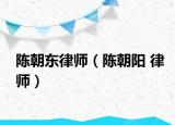 陈朝东律师（陈朝阳 律师）