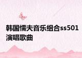 韩国懦夫音乐组合ss501演唱歌曲