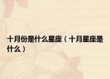 十月份是什么星座（十月星座是什么）