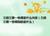 三控三管一协调是什么内容（三控三管一协调指的是什么）