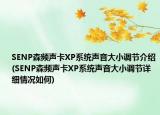 SENP森频声卡XP系统声音大小调节介绍(SENP森频声卡XP系统声音大小调节详细情况如何)