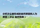 分析沙尘暴形成的自然原因和人为原因（沙尘 自然现象）