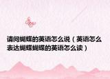 请问蝴蝶的英语怎么说（英语怎么表达蝴蝶蝴蝶的英语怎么读）