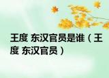 王度 东汉官员是谁（王度 东汉官员）