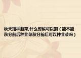 秋天播种韭菜,什么时候可以割（能不能秋分前后种韭菜秋分前后可以种韭菜吗）