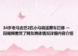 34岁老马去世2匹小马将送葬车拦停 一段视频看哭了网友具体情况详细内容介绍