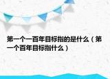 第一个一百年目标指的是什么（第一个百年目标指什么）