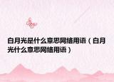 白月光是什么意思网络用语（白月光什么意思网络用语）