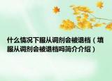 什么情况下服从调剂会被退档（填服从调剂会被退档吗简介介绍）