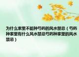 为什么家里不能种芍药的风水禁忌（芍药种家里有什么风水禁忌芍药种家里的风水禁忌）