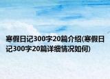 寒假日记300字20篇介绍(寒假日记300字20篇详细情况如何)