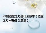 lol加适应之力是什么意思（适应之力lol是什么意思）