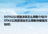 DOTA2公测激活码怎么领取介绍(DOTA2公测激活码怎么领取详细情况如何)