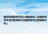 制作奶茶的茶叶可以用绿茶吗（自制奶茶可不可以放绿茶叶自制奶茶可以放绿茶叶吗）