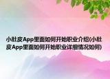 小肚皮App里面如何开始职业介绍(小肚皮App里面如何开始职业详细情况如何)