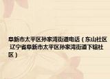 阜新市太平区孙家湾街道电话（东山社区 辽宁省阜新市太平区孙家湾街道下辖社区）