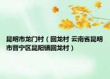 昆明市龙门村（回龙村 云南省昆明市晋宁区昆阳镇回龙村）