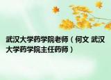 武汉大学药学院老师（何文 武汉大学药学院主任药师）