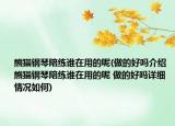 熊猫钢琴陪练谁在用的呢(做的好吗介绍 熊猫钢琴陪练谁在用的呢 做的好吗详细情况如何)