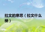 拉文的意思（拉文什么梗）