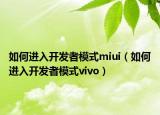 如何进入开发者模式miui（如何进入开发者模式vivo）