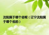 沈阳属于哪个省呢（辽宁沈阳属于哪个省的）
