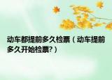 动车都提前多久检票（动车提前多久开始检票?）