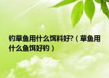 钓草鱼用什么饵料好?（草鱼用什么鱼饵好钓）