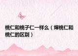 桃仁和桃子仁一样么（燀桃仁和桃仁的区别）