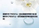 谢娜怀孕了吗为什么一直去美国进修哪介绍(谢娜怀孕了吗为什么一直去美国进修哪详细情况如何)